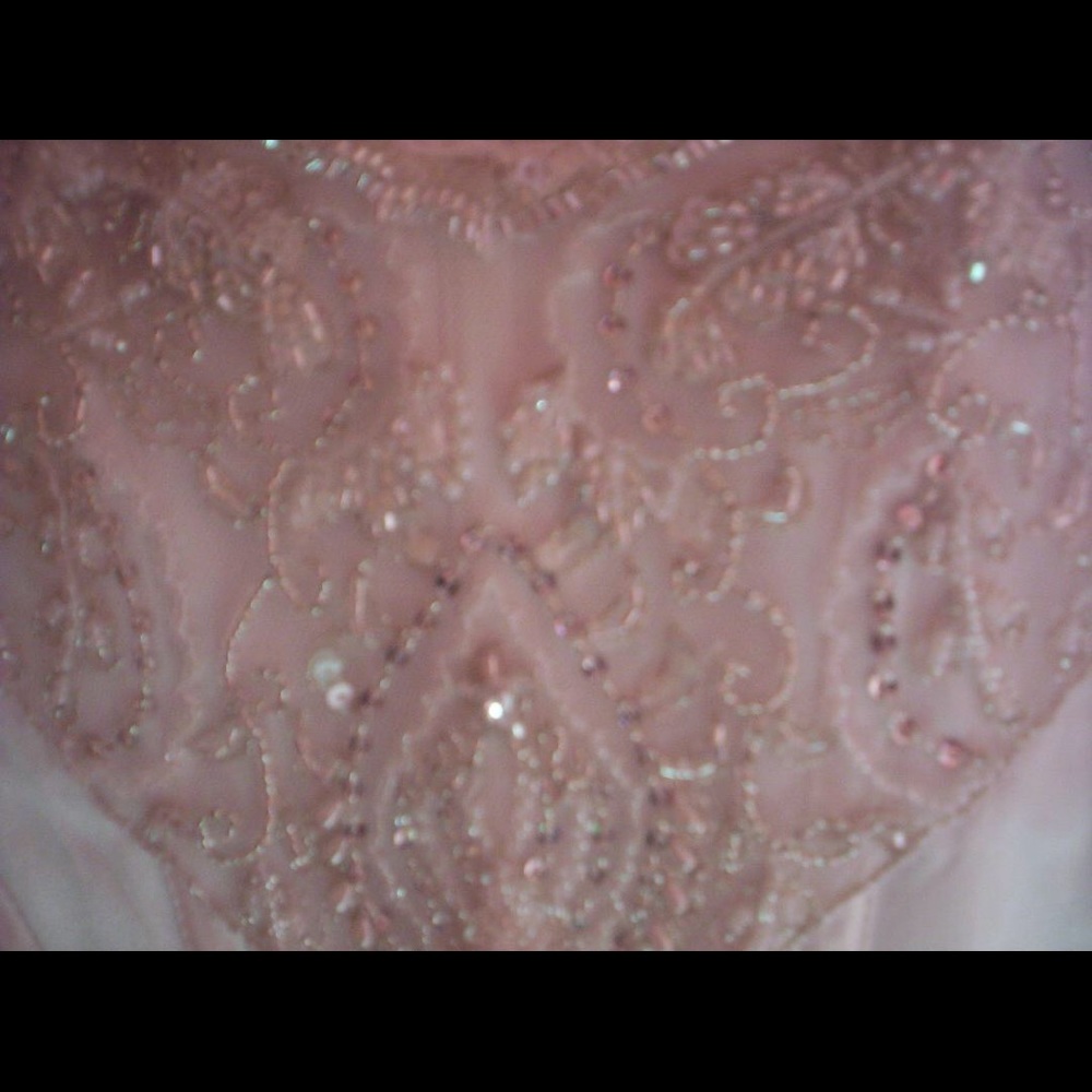 💗💗💗Silk Demetrios Wedding Gown w/ paperwork - Picture 4 of 6